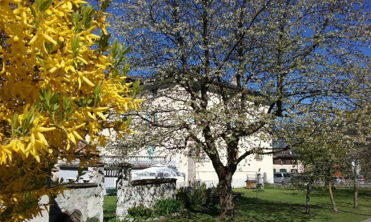 B&B Ca Dei Baroni Pellizzano Exteriör bild